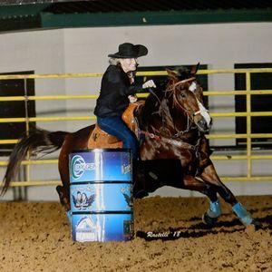 Meet your Posher, Donna